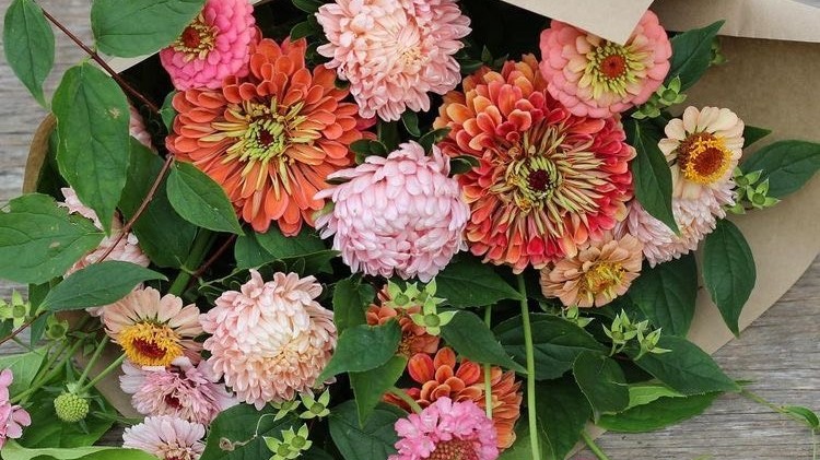 Tử vi 12 con giáp ngày 18-4-2023: Tuổi Tý nhiều khó khăn, tuổi Thìn suôn sẻ bất ngờ