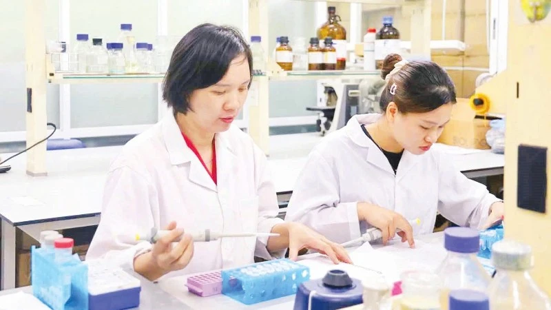 Mở rộng ứng dụng hoạt chất tự nhiên bằng công nghệ nano