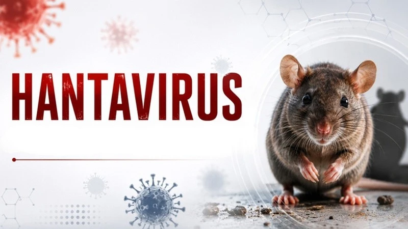 Ổ dịch do virus Hanta (chủng Andes-ANDV) đã được kiểm soát và không còn là nguy cơ y tế công cộng Ổ dịch do virus Hanta (chủng Andes-ANDV) đã được kiểm soát và không còn là nguy cơ y tế công cộng