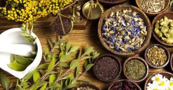 Phát huy vai trò của y học cổ truyền trong chăm sóc, nâng cao sức khỏe Nhân dân
