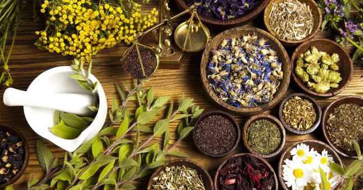 Phát huy vai trò của y học cổ truyền trong chăm sóc, nâng cao sức khỏe Nhân dân