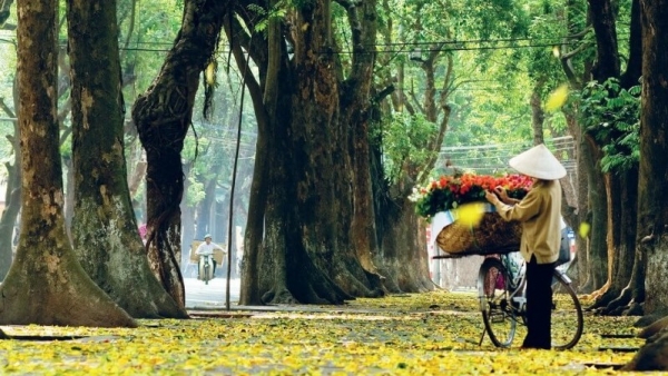 Dự báo thời tiết Hà Nội ngày 09-8-2023: Ngày nắng, chiều tối có mưa rào