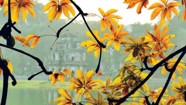 Dự báo thời tiết ngày 16-8-2023: Hà Nội đêm và sáng có lúc có mưa to