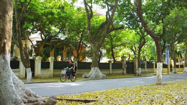 Dự báo thời tiết ngày 22-8-2023: Hà Nội ngày nắng, chiều tối và đêm mưa rào