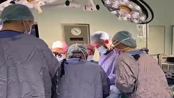 Ca cấy ghép tử cung đầu tiên ở Anh