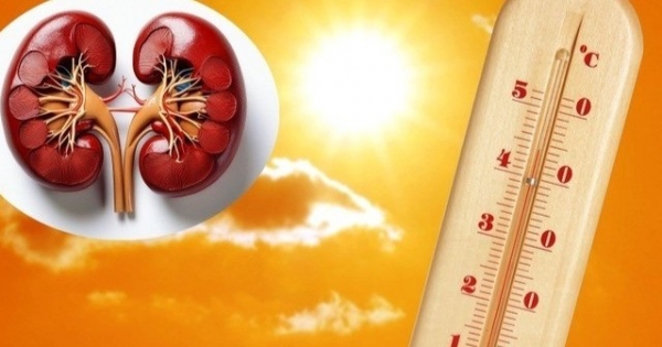 Cảnh báo tổn thương thận cấp khi làm việc dưới trời nắng nóng