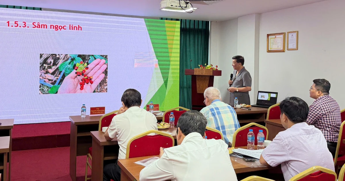 Thúc đẩy các giải pháp phát triển dược liệu tại Việt Nam