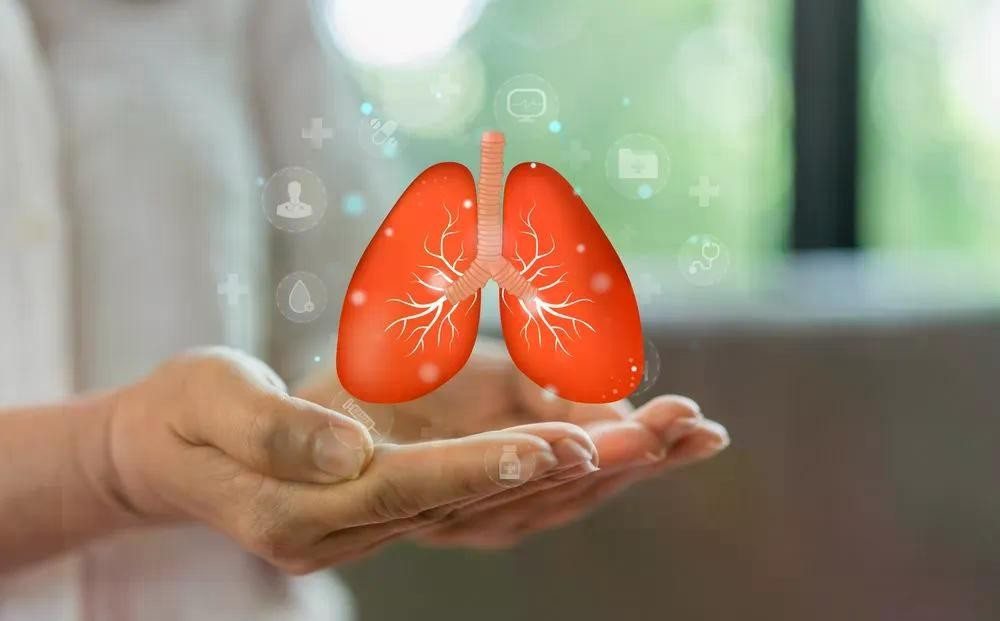 Chăm sóc lá phổi từ những thay đổi nhỏ trong cuộc sống Chăm sóc lá phổi từ những thay đổi nhỏ trong cuộc sống