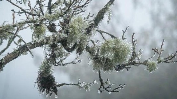 Dự báo thời tiết ngày 24/12: Miền Bắc rét đậm rét hại, có nơi dưới 2 độ C