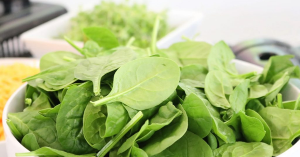 Cải bó xôi: "Siêu thực phẩm" với vô vàn lợi ích cho sức khỏe