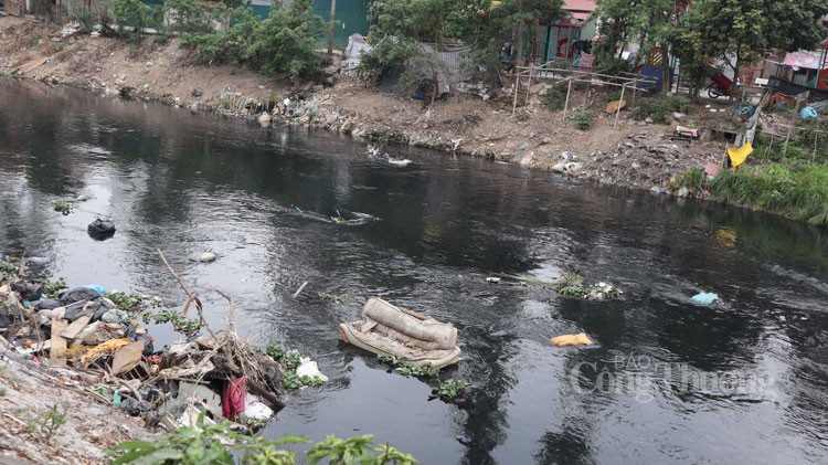 Hà Nội Xanh và quyết tâm “hồi sinh” những con sông ô nhiễm tại Hà Nội