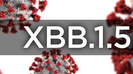 Bộ Y tế: Nhiều dịch bệnh truyền nhiễm nguy hiểm đe dọa bùng phát