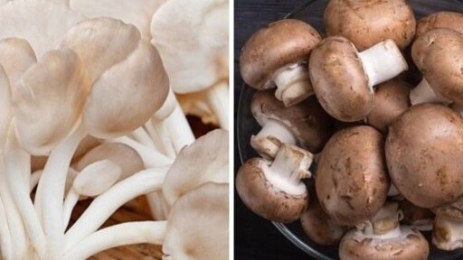 Những ai không nên ăn nấm?