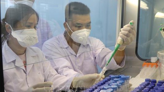 Hà Nội lấy mẫu giải trình tự gen tìm biến thể mới của virus SARS-CoV-2