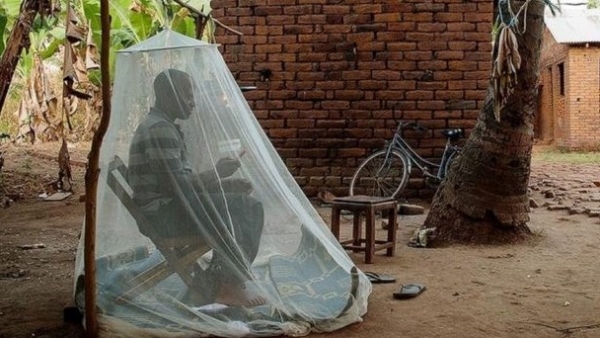 Vaccine phòng sốt rét mới giúp giảm tỷ lệ tử vong