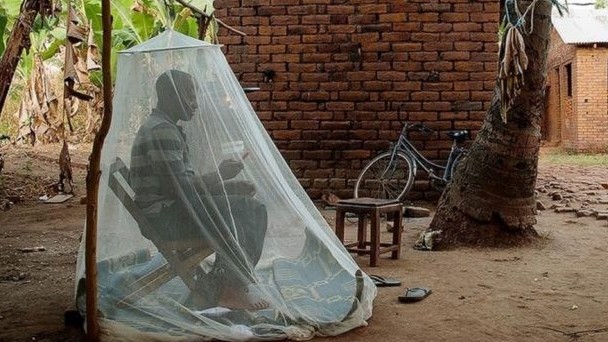 Vaccine phòng sốt rét mới giúp giảm tỷ lệ tử vong