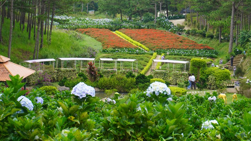 Đà Lạt, thành phố của bản sắc