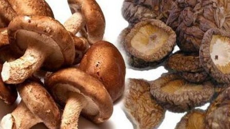 Nấm hương giúp giảm mỡ máu, hỗ trợ trị tăng huyết áp