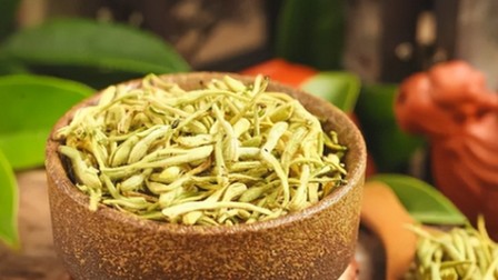 Kim ngân hoa, vị thuốc chữa viêm da, loét miệng