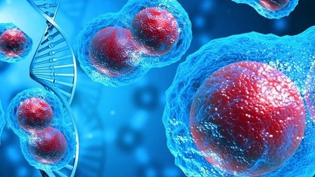 Mỹ phát triển thuốc viên tiêu diệt khối u ung thư không làm hại tế bào khỏe mạnh