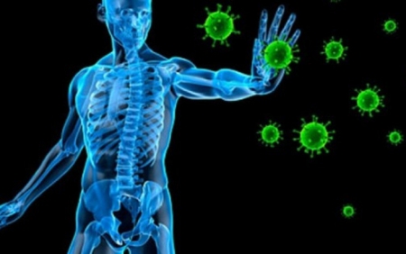 Khai thác tiềm năng tự chữa bệnh của hệ thống sống