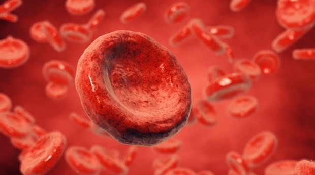 Nghiên cứu mới: Phát hiện và xác định các tế bào chết trong máu