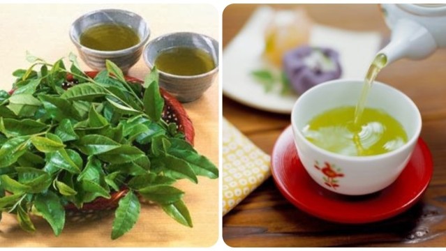 Bạn đã thực sự biết uống chè xanh đúng cách chưa?