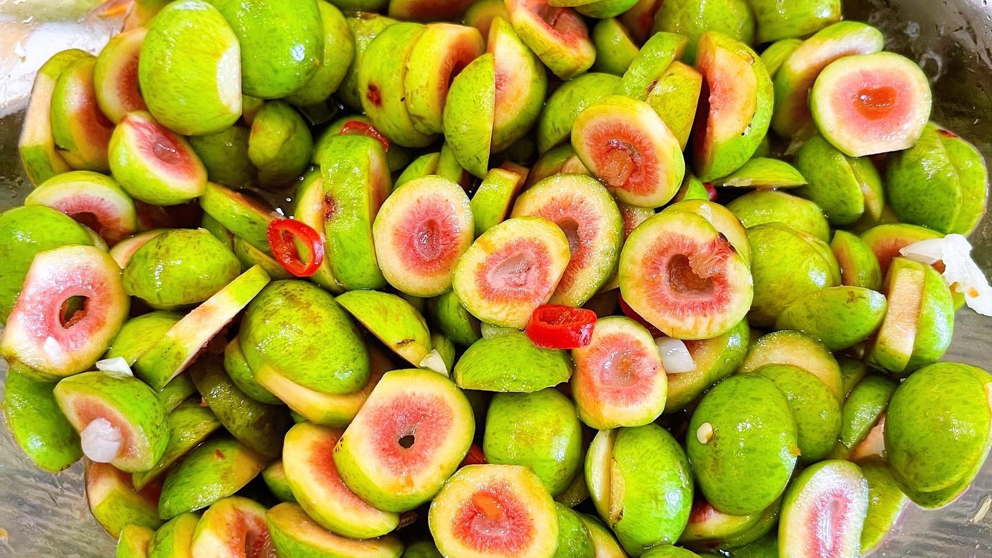 Tác dụng của quả sung trong y học cổ truyền