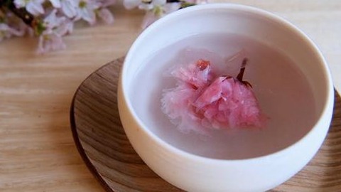 Hoa đào tác dụng từ sức khỏe cho đến làm đẹp