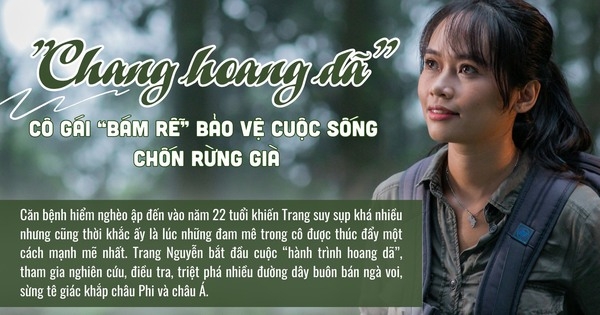 "Chang hoang dã" - Cô gái "bám rễ" bảo vệ cuộc sống chốn rừng già