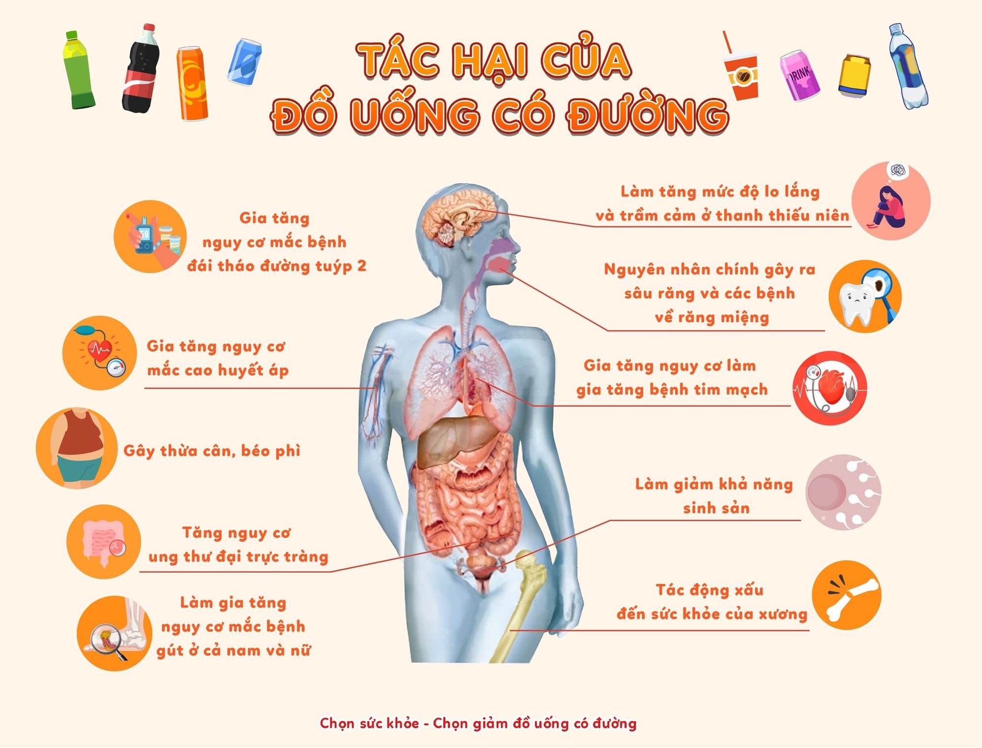 Vì sao WHO và các chuyên gia y tế khuyến cáo giảm tiêu thụ đồ uống có đường?