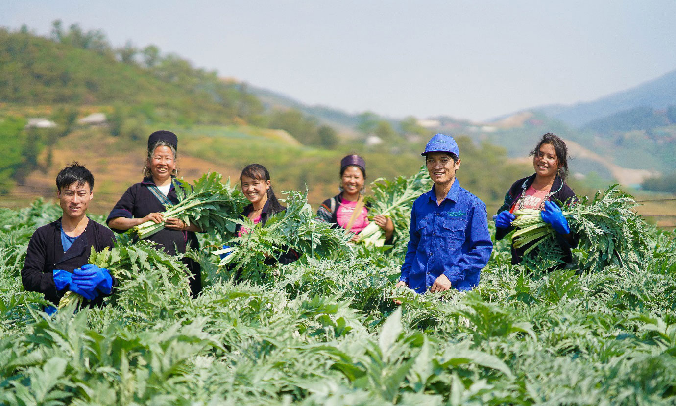 Việt Nam thúc đẩy phát triển công nghiệp dược