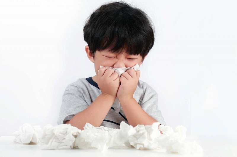 Các bài thuốc Y học cổ truyền chữa bệnh viêm mũi hiệu quả, an toàn