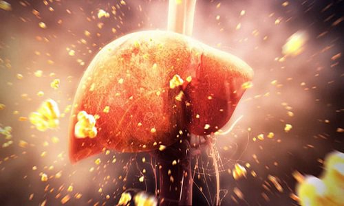 Ung thư gan: Nguy cơ và giải pháp phòng ngừa hiệu quả