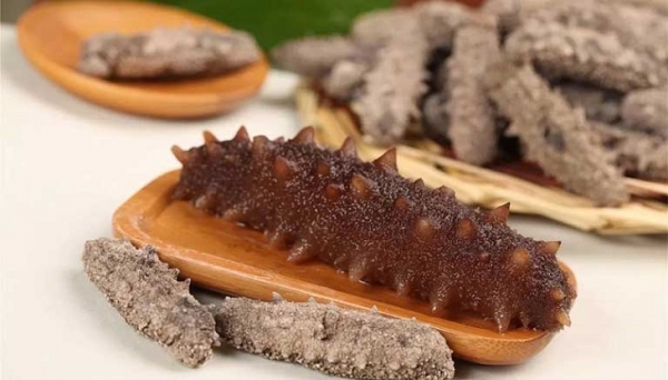 Hải sâm được sử dụng trong các bài thuốc Y học cổ truyền