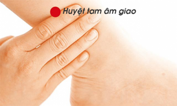 Huyệt tam âm giao và vai trò điều trị bệnh trong Y học cổ truyền