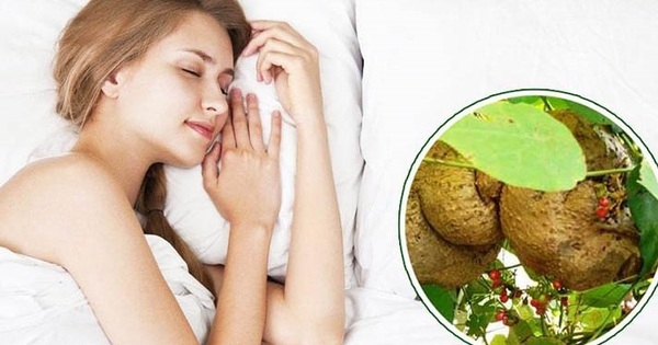 Củ bình vôi khắc tinh của bệnh mất ngủ lâu năm