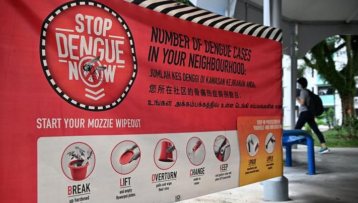 Singapore đối mặt nguy cơ bùng phát dịch sốt xuất huyết