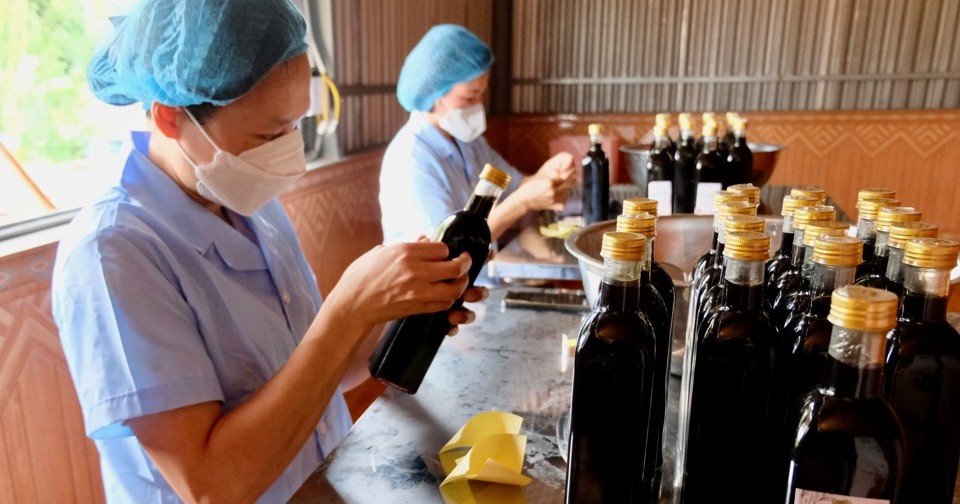 Liên kết phát triển sản phẩm thảo dược tại huyện Sóc Sơn