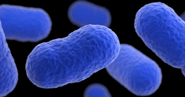 Dịch nhiễm khuẩn Listeria gây chết người tái bùng phát tại Mỹ