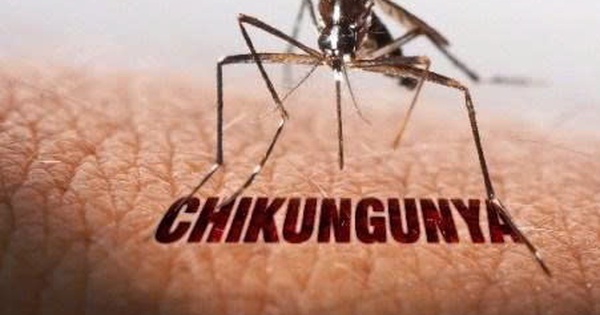 Bộ Y tế nói về các kịch bản ứng phó nguy cơ lây lan bệnh Chikungynya