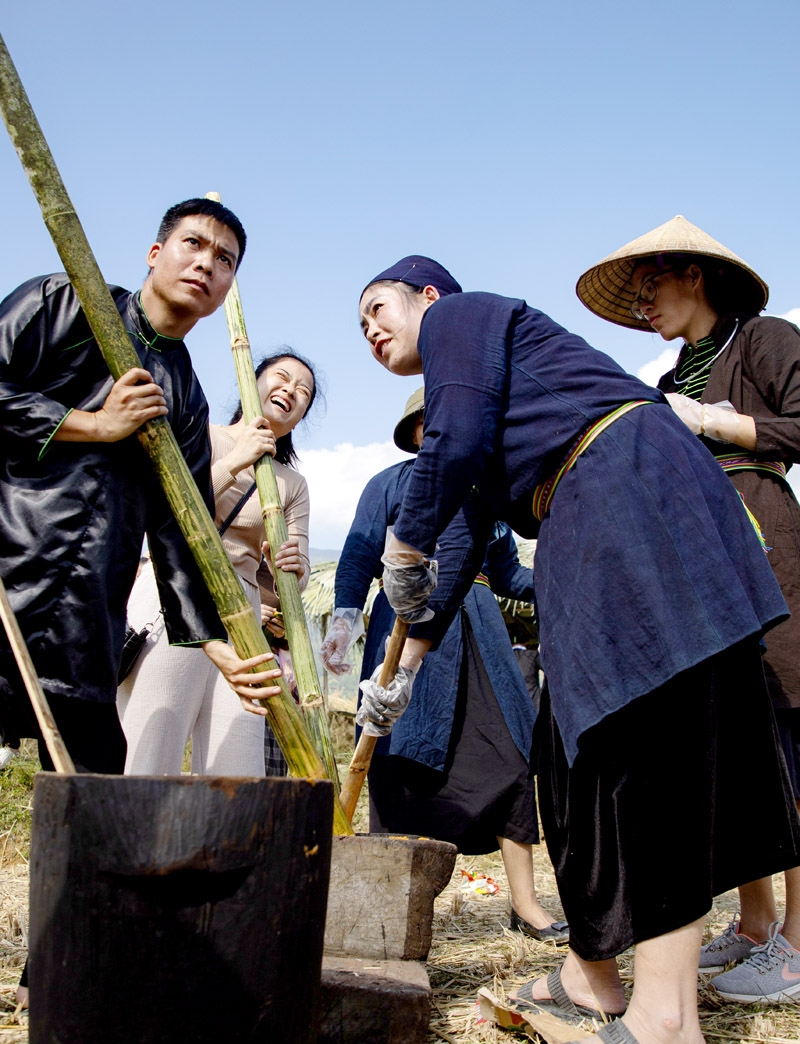 Trải nghiệm “Rừng vàng” Xà Phìn