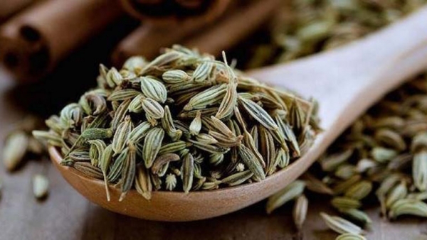 Tiểu hồi: Tổng quan, công dụng và các bài thuốc áp dụng