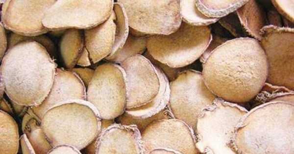 Cách dùng trạch tả hạ huyết áp, lợi tiểu và giảm mỡ máu