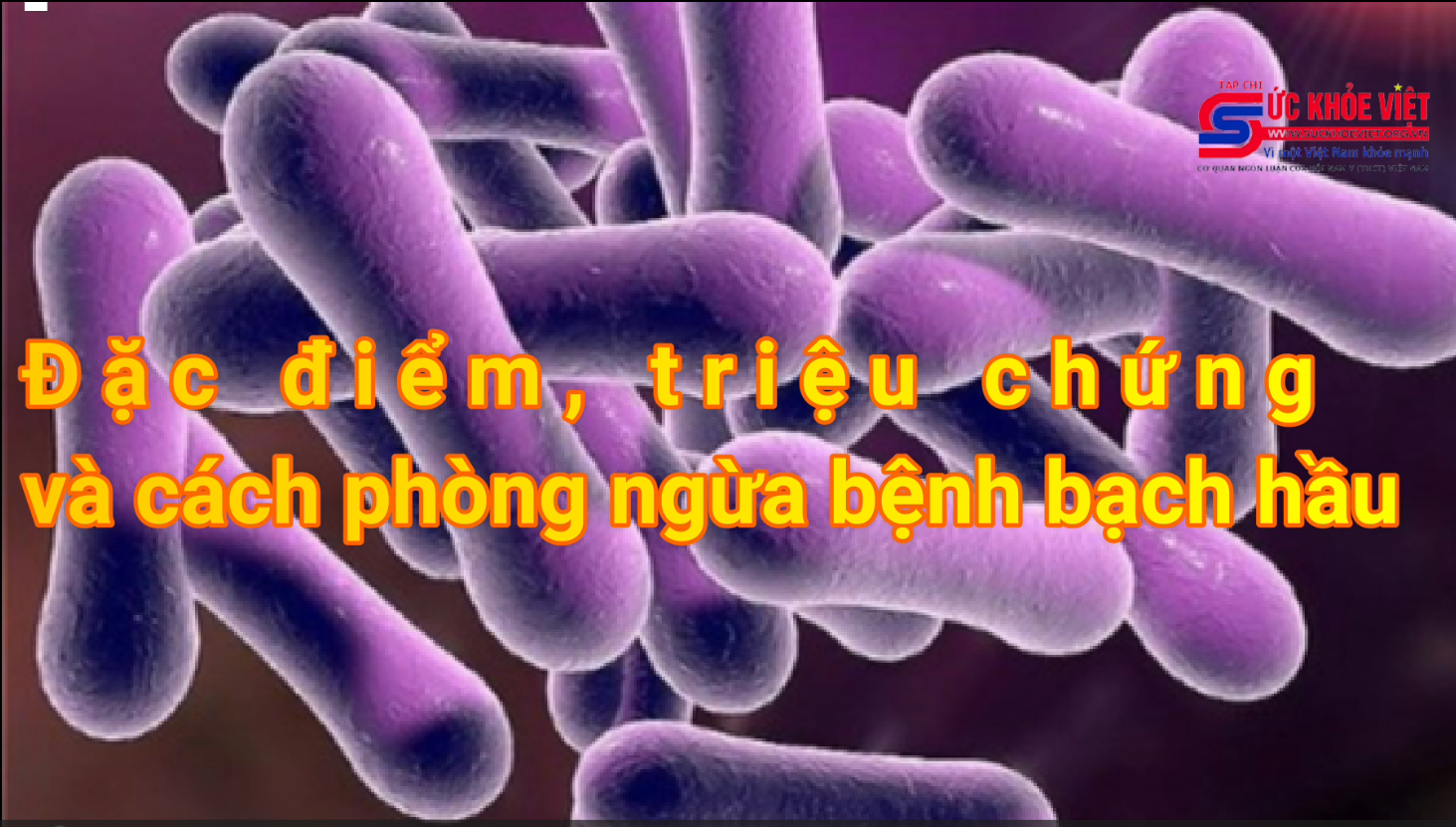 Đặc điểm, triệu chứng và cách phòng tránh bệnh bạch hầu
