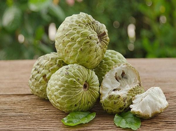 Những sai lầm cần tránh khi ăn na