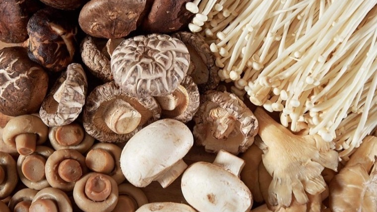 Những lợi ích của việc ăn nấm