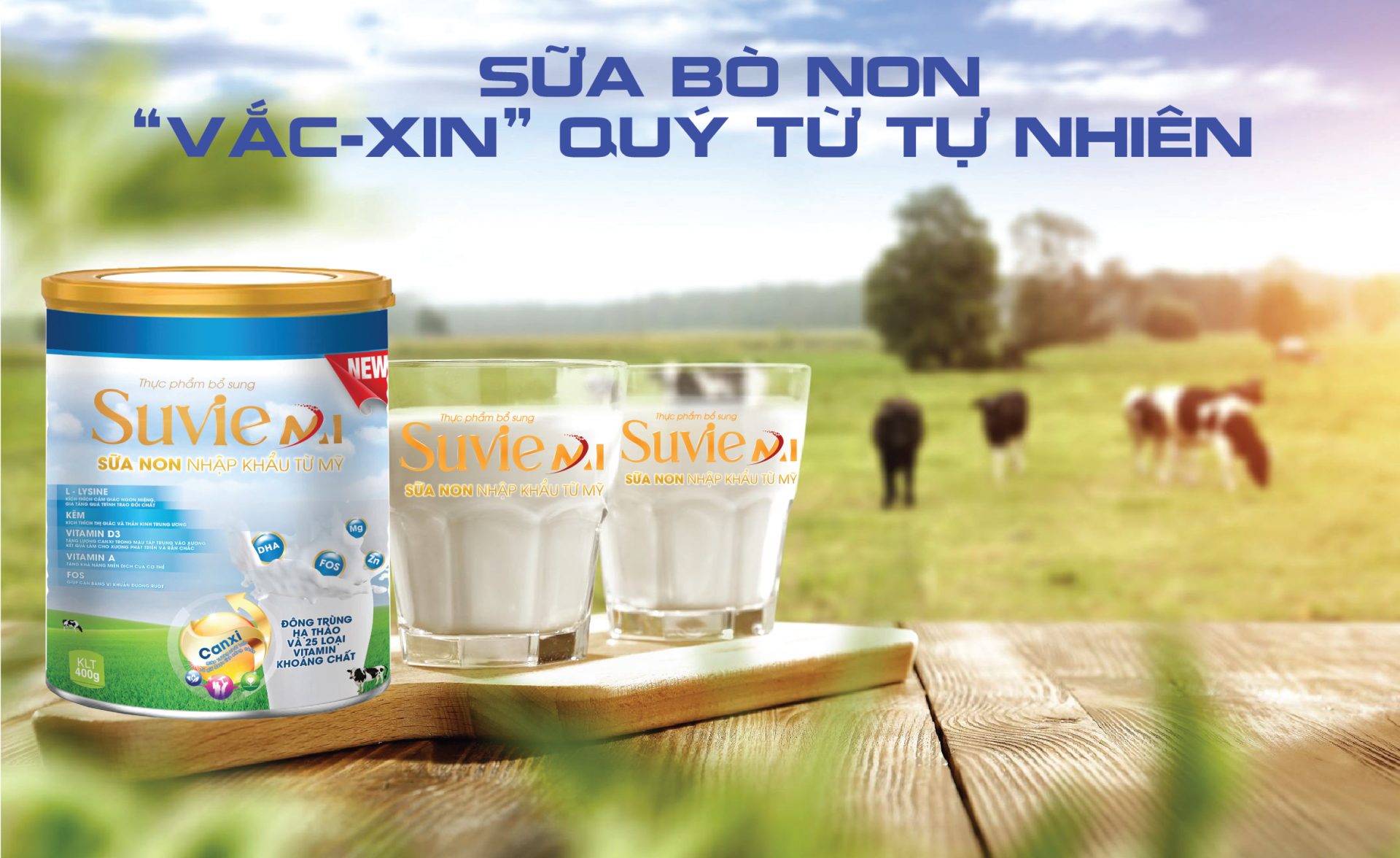 Sữa bò non -  “Vắc-xin” quý từ tự nhiên