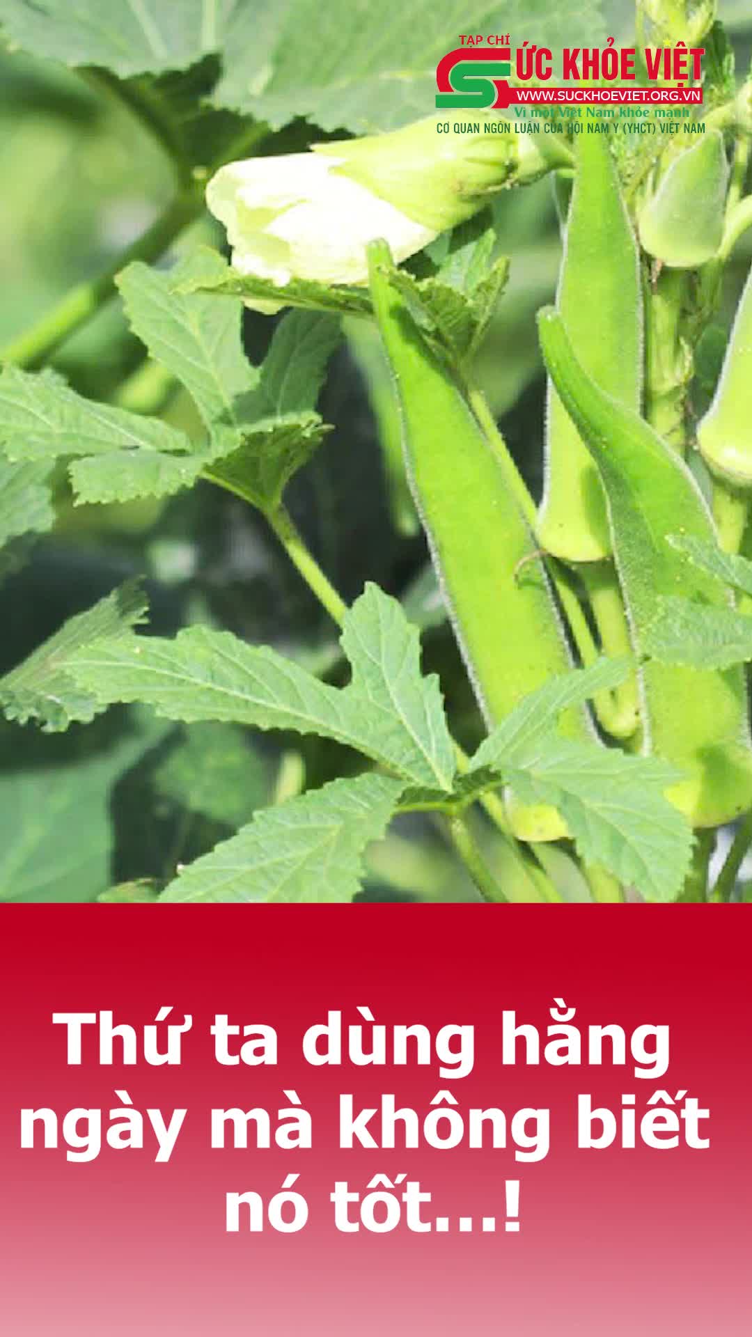 Thực phẩm quen thuộc có nhiều lợi ích với sức khỏe