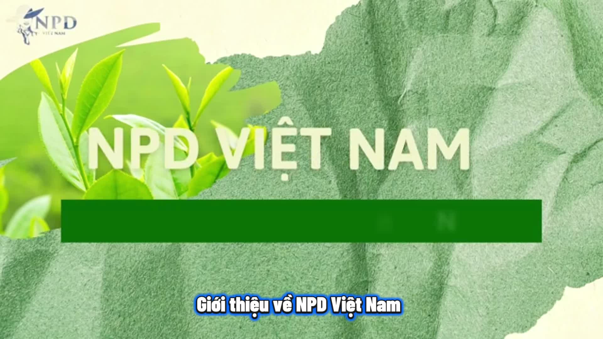 Video nhap 20260106215442